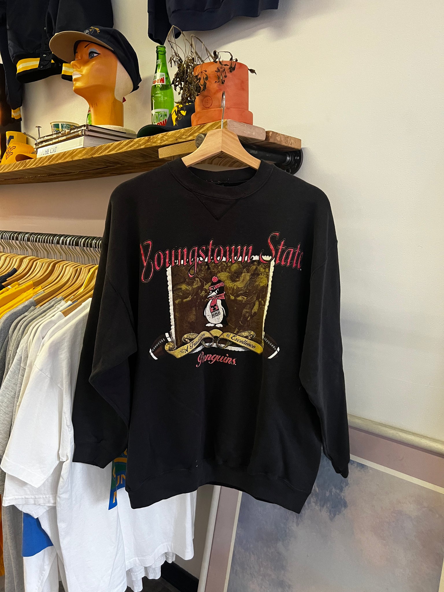 Vintage 90s Youngstown State Graphic Crewneck